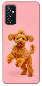 Чехол Happy poodle для Galaxy M52