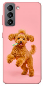 Чохол Happy poodle для Galaxy S21 FE