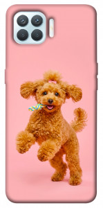 Чохол Happy poodle для Oppo F17 Pro