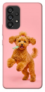 Чехол Happy poodle для Galaxy A53