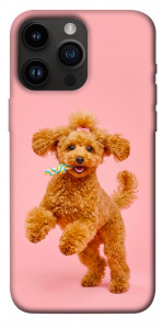Чехол Happy poodle для iPhone 14 Pro Max