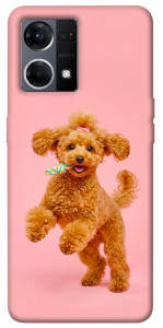 Чохол Happy poodle для Oppo Reno 7 4G
