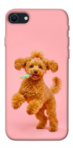 Чехол Happy poodle для iPhone SE (2022)