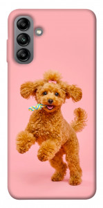 Чохол Happy poodle для Galaxy A04s