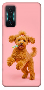 Чехол Happy poodle для Xiaomi Redmi K50 Gaming