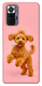 Чохол Happy poodle для Xiaomi Redmi Note 10 Pro Max