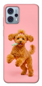 Чохол Happy poodle для Motorola Moto G23