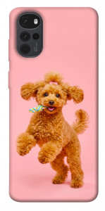Чохол Happy poodle для Motorola Moto G22