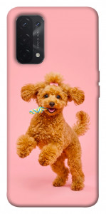 Чохол Happy poodle для Oppo A54 5G