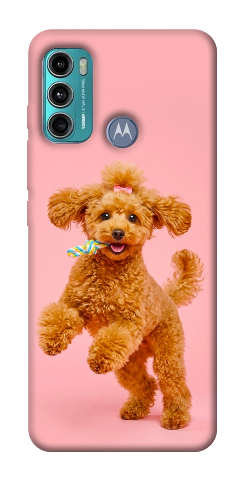 Чохол Happy poodle для Motorola Moto G60