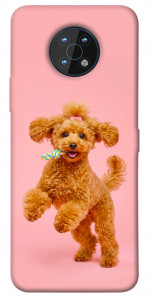 Чохол Happy poodle для Nokia G50