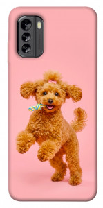 Чохол Happy poodle для Nokia G60