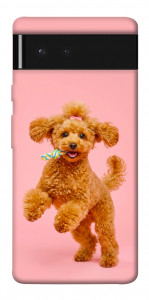 Чехол Happy poodle для Google Pixel 6