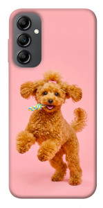Чохол Happy poodle для Galaxy A14