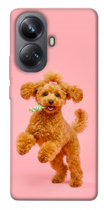 Чехол Happy poodle для Realme 10 Pro+