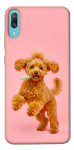 Чехол Happy poodle для Huawei Y6 Pro (2019)