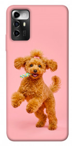 Чехол Happy poodle для ZTE Blade A72