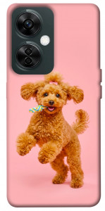Чехол Happy poodle для OnePlus Nord CE 3 Lite