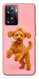 Чехол Happy poodle для OnePlus Nord N20 SE