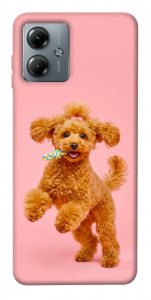 Чехол Happy poodle для Motorola Moto G14