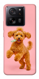 Чохол Happy poodle для Xiaomi 13T