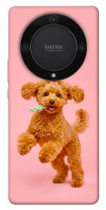 Чехол Happy poodle для Huawei Magic5 Lite