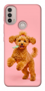 Чохол Happy poodle для Motorola Moto E30