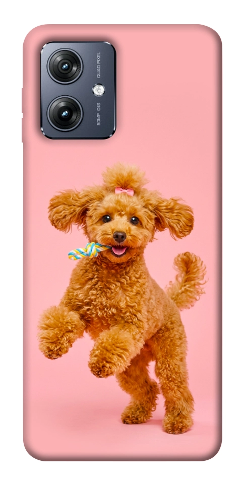 Чохол Happy poodle для Motorola Moto G54