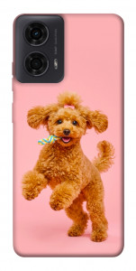 Чехол Happy poodle для Motorola Moto G24