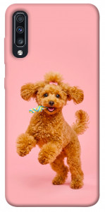 Чохол Happy poodle для Galaxy A70s