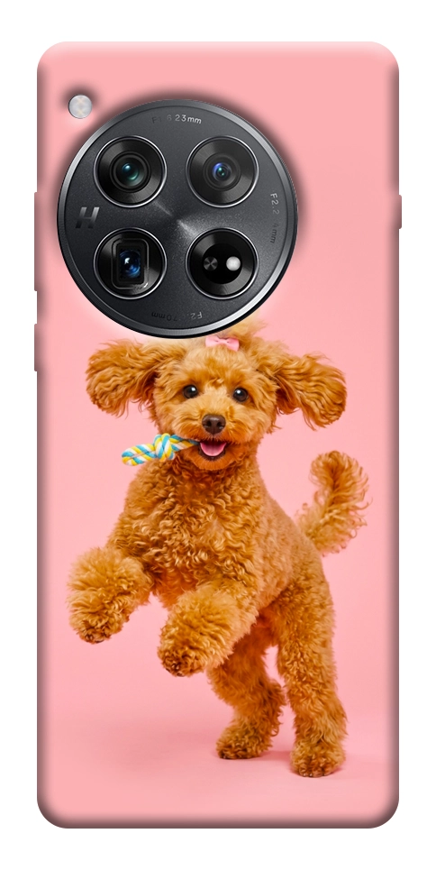 Чехол Happy poodle для OnePlus 12