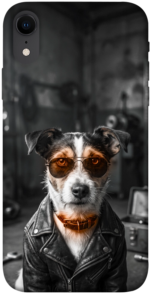 Чехол Jack rassel для iPhone XR