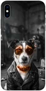 Чохол Jack rassel для iPhone X