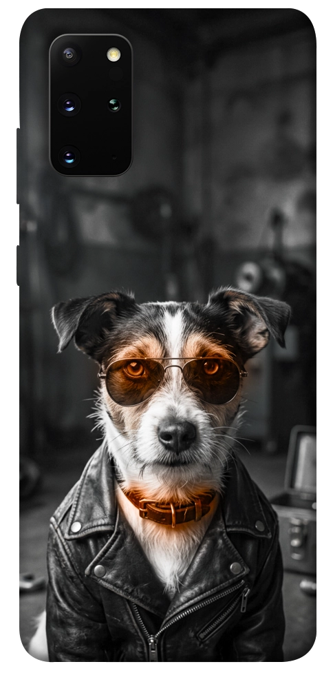 Чехол Jack rassel для Galaxy S20 Plus (2020)