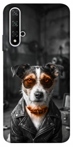 Чехол Jack rassel для Huawei Nova 5T