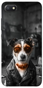 Чехол Jack rassel для Xiaomi Redmi 6A