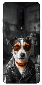 Чохол Jack rassel для OnePlus 8