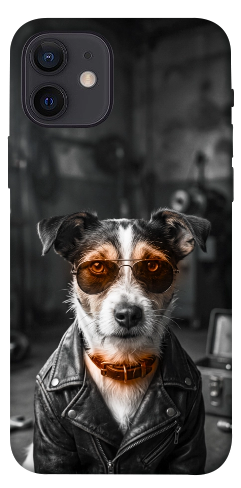 Чехол Jack rassel для iPhone 12