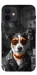 Чехол Jack rassel для iPhone 12 mini