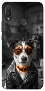 Чехол Jack rassel для Huawei Nova 3i