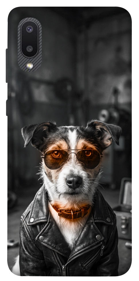 Чехол Jack rassel для Galaxy A02