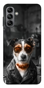Чохол Jack rassel для Galaxy A04s