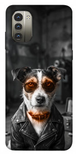 Чехол Jack rassel для Nokia G11