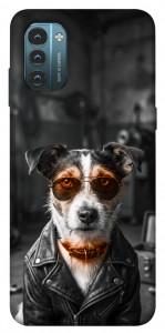 Чехол Jack rassel для Nokia G21