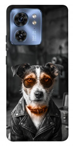 Чохол Jack rassel для Motorola Edge 40