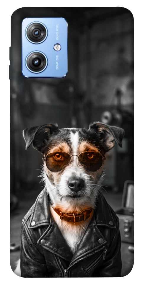 Чехол Jack rassel для Motorola Moto G84