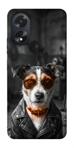 Чохол Jack rassel для Oppo A38
