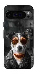 Чехол Jack rassel для Google Pixel 9 Pro