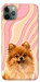Чехол Pastel spitz для iPhone 11 Pro Max