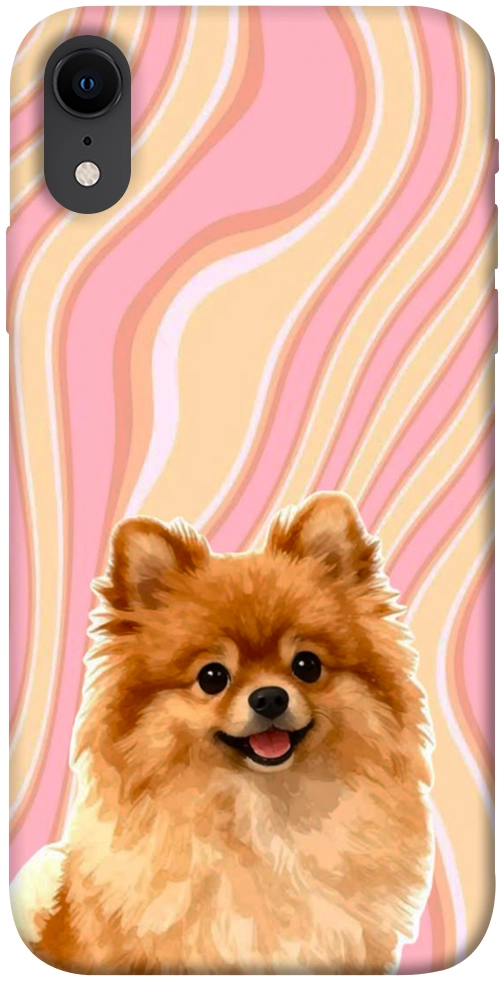 Чехол Pastel spitz для iPhone XR